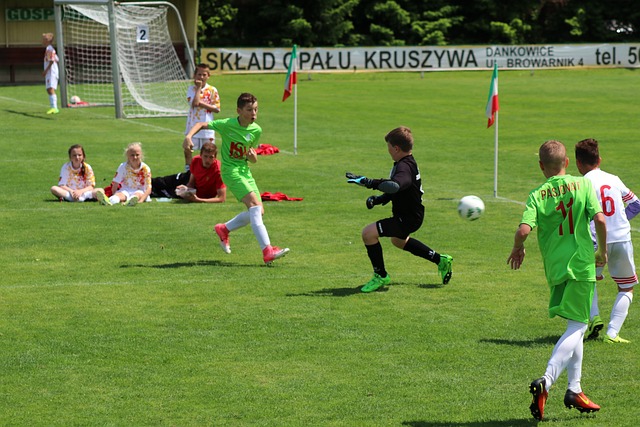 甲史無前例 甲史無前例