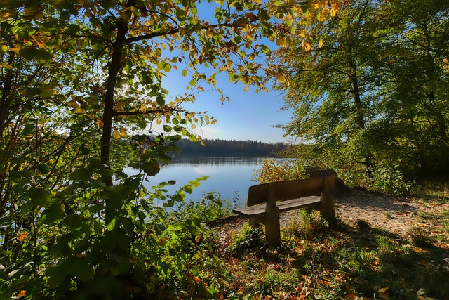 校展示了如 校展示了如
