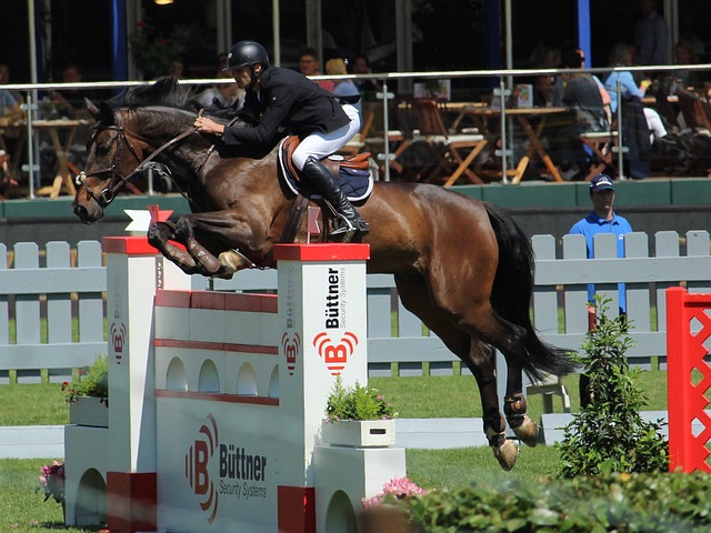 汇聚了亚洲 汇聚了亚洲