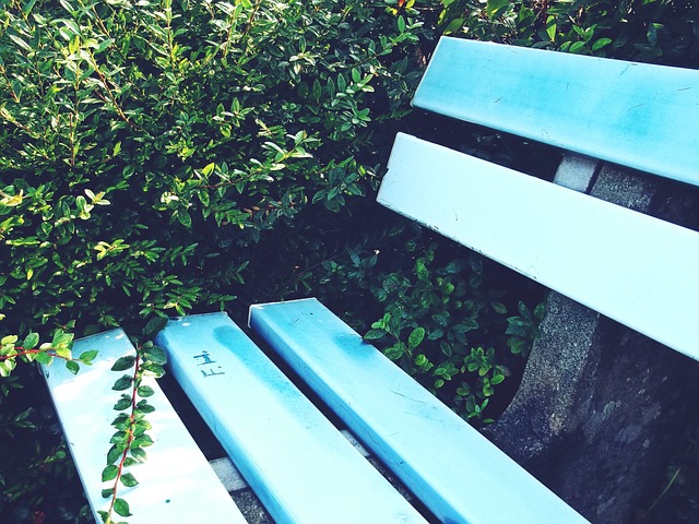 教育的普及 教育的普及