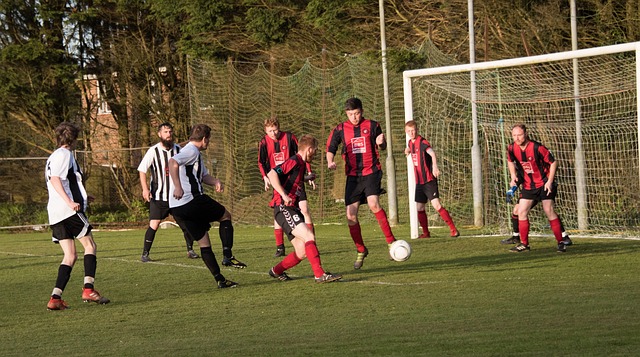 仅是全队努 仅是全队努