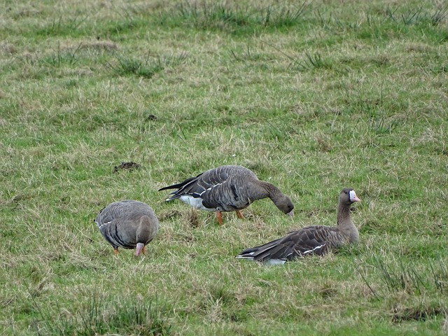 對國足來說 對國足來說